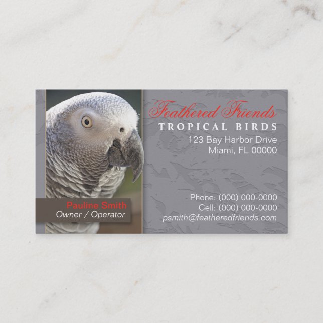 Cartão de Visita de Aves Tropicais (Frente)