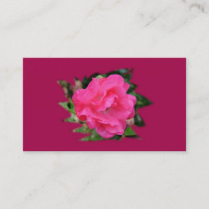 cartão de visita de cooperação, rosa rosa