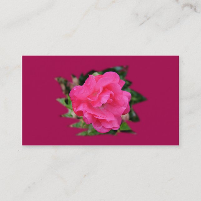 cartão de visita de cooperação, rosa rosa (Frente)