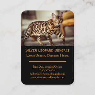 Cartão de Visita de Criador de Gatos Bengal de Lux