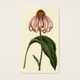 Cartão de visita de Flor Negrito