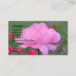 Cartão de visita de Flor Rosa Rosa Forte