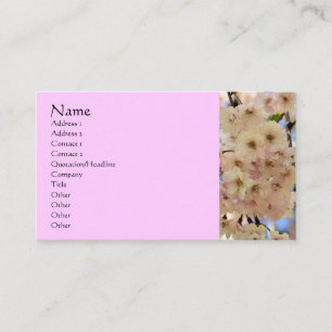 Cartão de visita de Fotografia do Flor Rosa Blosso