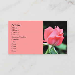 Cartão de visita de Fotografia do Flor Rosebud Ros
