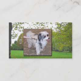Cartão de visita de passeio do cão