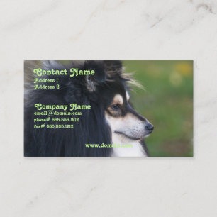 Cartão de visita de Sheltie