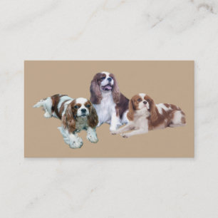 Cartão de visita descuidado de Breede do Spaniel