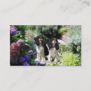 Cartão de visita descuidado de Breede do Spaniel