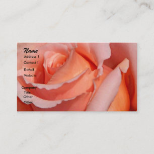 Cartão De Visita Desdobrando Rosa_Cartão de visita