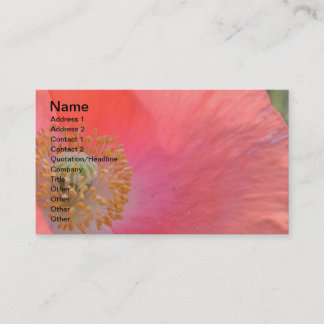 Cartão De Visita Diária é uma oportunidade