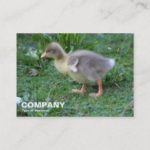 Cartão De Visita Disfarce 02