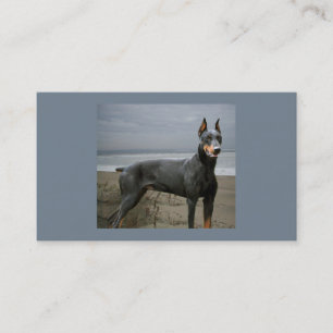 Cartão de visita do amante do cão do Pinscher do