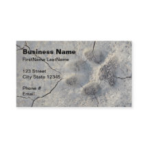 cartão de visita do animal de estimação do