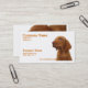 Cartão de visita do cão (Frente/Verso In Situ)
