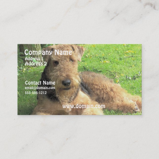Cartão de visita do cão de Airedale Terrier (Frente)