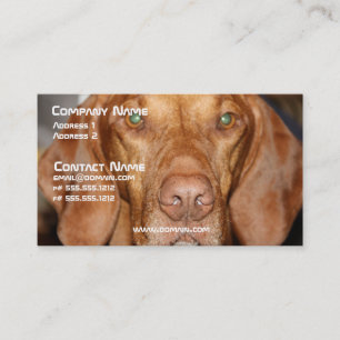 Cartão de visita do cão do racum