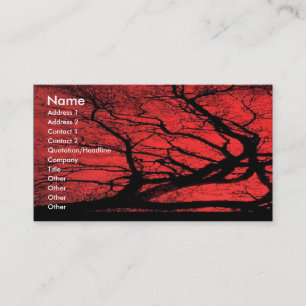 Cartão de visita do céu de Viking