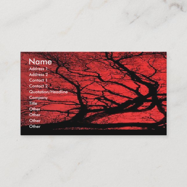 Cartão de visita do céu de Viking (Frente)