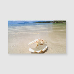 Cartão de visita do ímã da praia do Seashell
