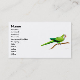 Cartão de visita do papagaio do quacre