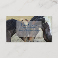 Dois Cavalos Selvagens Marrons Nuzzling