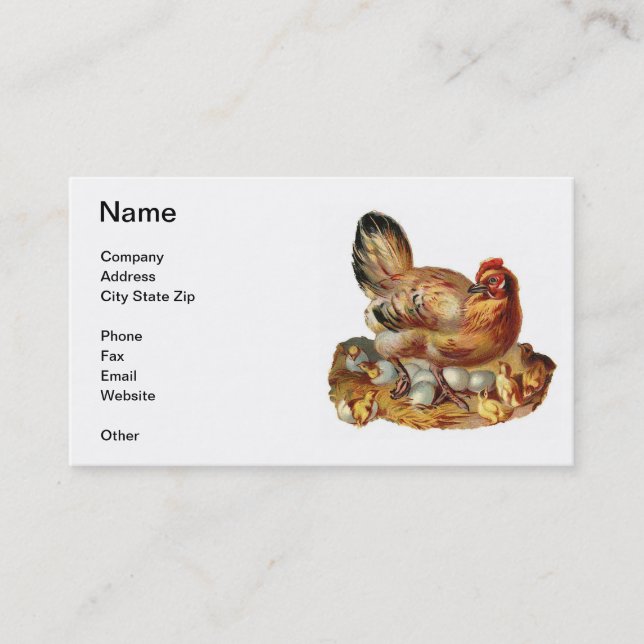 Cartão de visita dos pintinhos & dos ovos da (Frente)