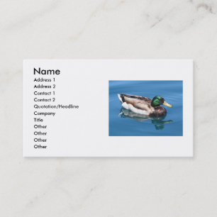 Cartão de visita Duck