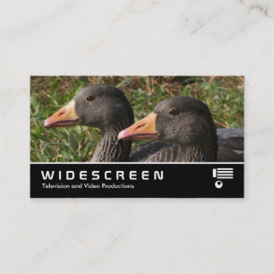 Cartão De Visita Ecrã panorâmico 354 - Greylag Geese
