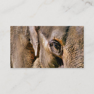 CARTÃO DE VISITA ELEFANTE