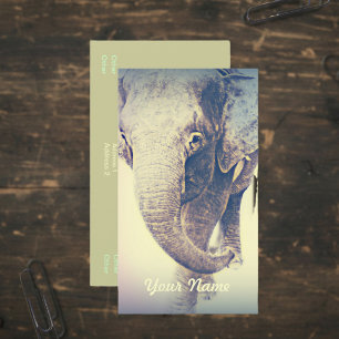 Cartão De Visita Elefante Asiático em Cores Vintage