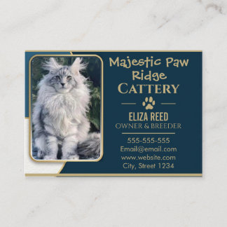 Cartão De Visita Elegant Custom Maine Coon Cattery Business Card 
