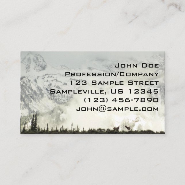 Cartão De Visita Elk no Grand Teton National Park Fotografia (Frente)