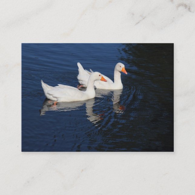 Cartão De Visita Emden Geese (Frente)