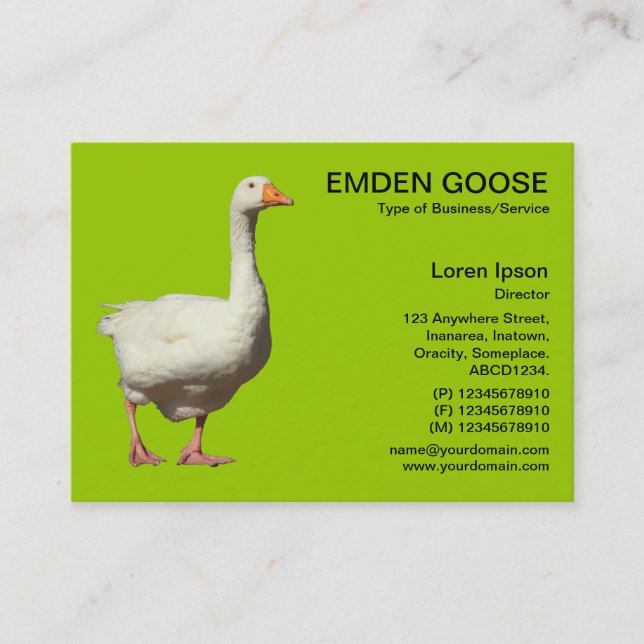 Cartão De Visita Emden Goose - Verde marciano (Frente)