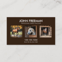 Equino de Fotos de Cavalos Castanhos Escuros Minim