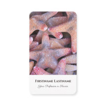 Especialistas em viagem de estrelas marinhas marít