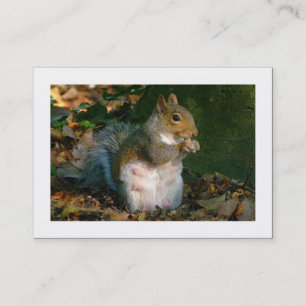 Cartão De Visita Esquilo de cinza (Bordado)