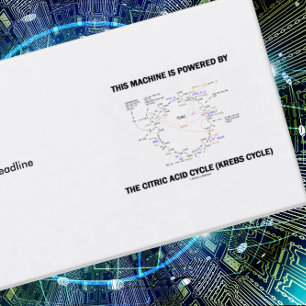 Cartão De Visita Esta máquina é psta pelo ciclo de ácido cítric