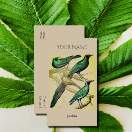 Cartão De Visita estorninho-da-vintage e minah bird Kraft