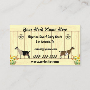 Cartão De Visita Estrela Branca de Pé-de-Cabra Nigeriana