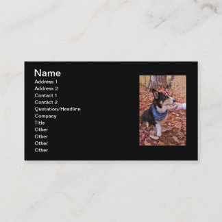 Cartão De Visita Excelente para vê-lo!