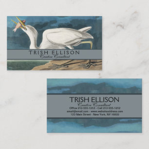 Cartão De Visita Excelente White Heron Audubon Bird Willife Paintin