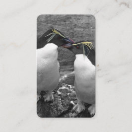 Cartão De Visita Explosão de Cor de Pinguim