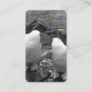 Cartão De Visita Explosão de Cor de Pinguim