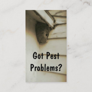 Cartão De Visita Exterminador de controle de pragas