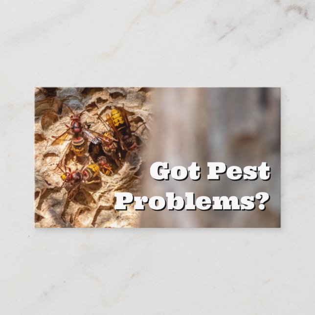 Cartão De Visita Exterminador de pragas para vespas de vespas para  (Frente)