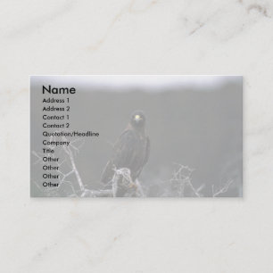 Cartão De Visita Falcão de Galápagos