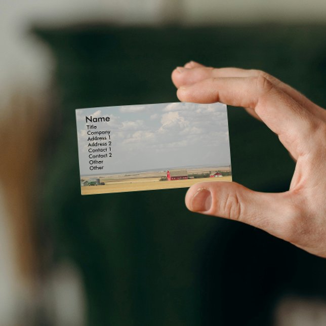 Cartão De Visita Fazenda Campos de Trigo Paisagem (In Situ)