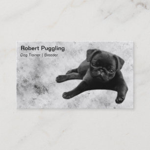 Cartão De Visita Filhote de cachorro adorável do Pug