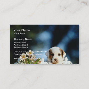 Cartão De Visita Filhote de cachorro amarelo com as orelhas marrons